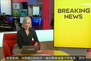 伤兵潮来的更早一些！帕尔默因肌肉受伤退出国家队~