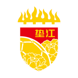 垫江队标